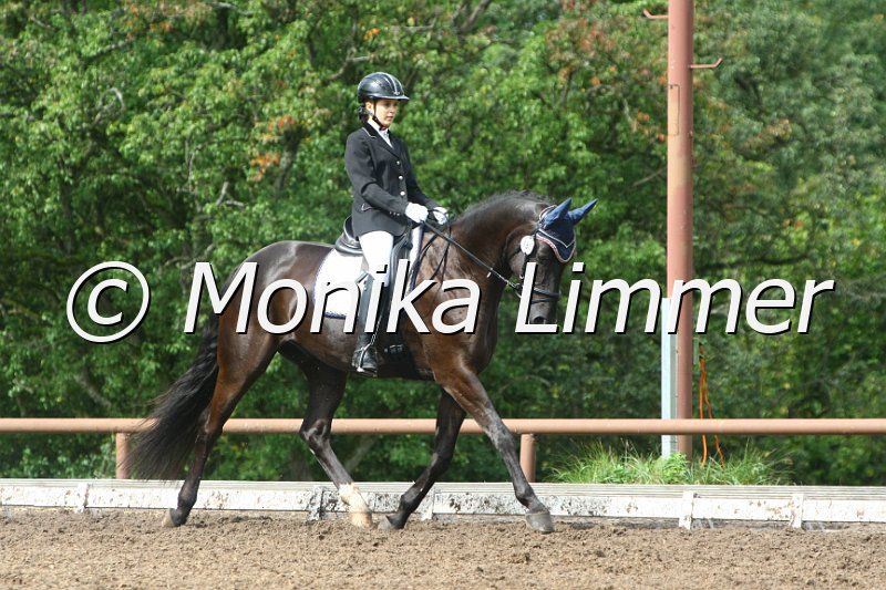 109M3846_Romeo_Dressur E.JPG